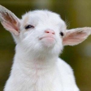 Meet your Posher, Brianna